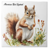 American Red Squirrel Fliese (Vorderseite)