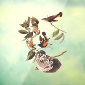 American Redstart Audubon Birds and Wasp Nest Fensteraufkleber (Blatt 3)