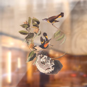 American Redstart Audubon Birds and Wasp Nest Fensteraufkleber (Blatt 2)