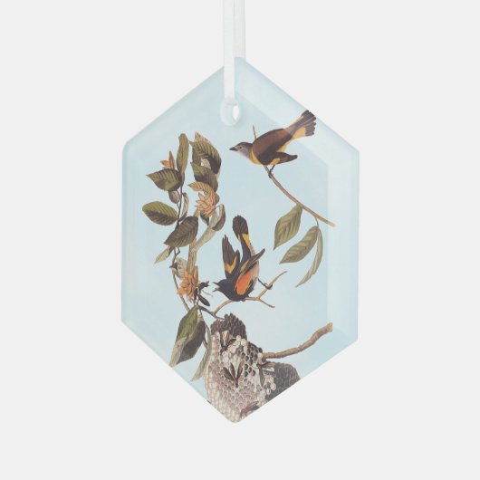 American Redstart Audubon Birds and Wasp Nest Ornament Aus Glas (Vorderseite Links)