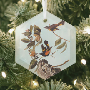 American Redstart Audubon Birds and Wasp Nest Ornament Aus Glas