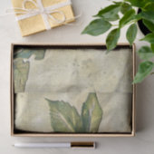 American Redstart Bird Decoupage Tissue Paper Seidenpapier (Geschenk)