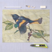 American Redstart Bird Decoupage Tissue Paper Seidenpapier (Handwerk)