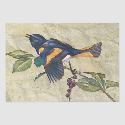 American Redstart Bird Decoupage Tissue Paper Seidenpapier (Vorderseite)