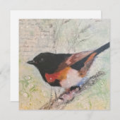 American Redstart Greeting Card Feiertagskarte (Vorne/Hinten)