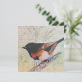American Redstart Greeting Card Feiertagskarte (Stehend Vorderseite)
