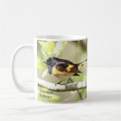 American Redstart Tasse von BirdingCollectibles (Links)