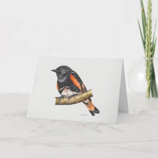 American Redstart Warbler Art Card Dankeskarte (Vorderseite)
