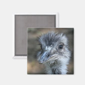 American Rhea Portrait Magnet (Vorderseite/Rückseite)