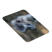 American Rhea Portrait Magnet (Rechte Seite)