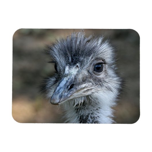 American Rhea Portrait Magnet (Horizontal)