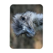 American Rhea Portrait Magnet (Vertikal)