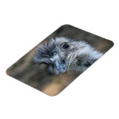 American Rhea Portrait Magnet (Linke Seite)