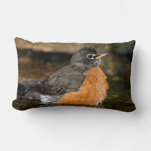 American Robin Bat 2 Lendenkissen