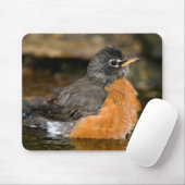 American Robin Bat 2 Mousepad (Mit Mouse)