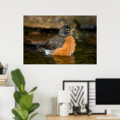 American Robin Bat 2 Poster (Heimbüro)