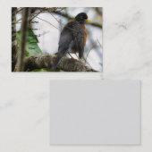 American Robin Bird Business Card Visitenkarte (Vorne/Hinten)