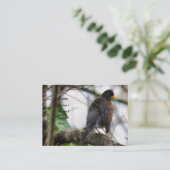 American Robin Bird Business Card Visitenkarte (Stehend Vorderseite)