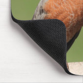 American Robin Bird (der Schreibtisch)*Personalize Mousepad (Ecke)