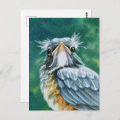 American Robin Bird Fledglage Wasserfarben Kunst Postkarte (Vorne/Hinten)
