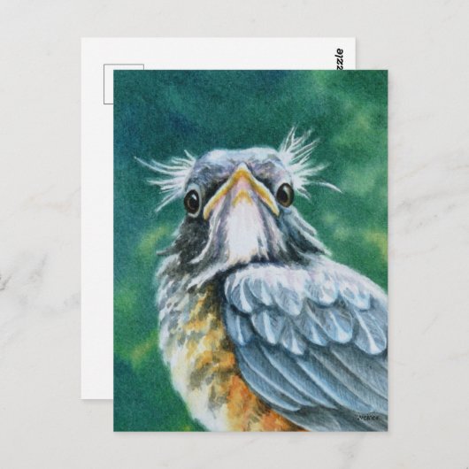 American Robin Bird Fledglage Wasserfarben Kunst Postkarte (Vorne/Hinten)