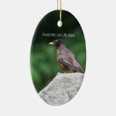American Robin Bird Foto Ornament (Rechts)