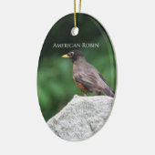 American Robin Bird Foto Ornament (Links)