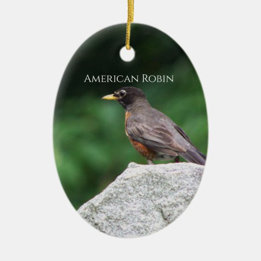 American Robin Bird Foto Ornament (Vorne)