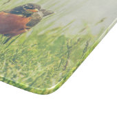 American Robin Bird Green Schneidebrett (Ecke)