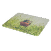 American Robin Bird Green Schneidebrett (Ecke)