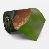 American Robin Bird Krawatte (Gerollt)