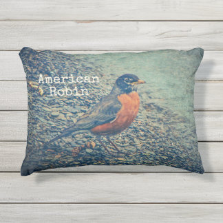American Robin Bird Outdoor Accent Pillow Kissen Für Draußen