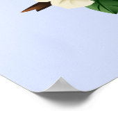 American Robin Bird Poster (Ecke)