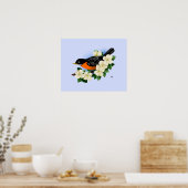 American Robin Bird Poster (Küche)