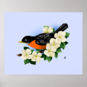 American Robin Bird Poster (Vorne)