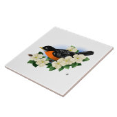 American Robin Bird und Dogwood Art Tile Fliese (Seite)
