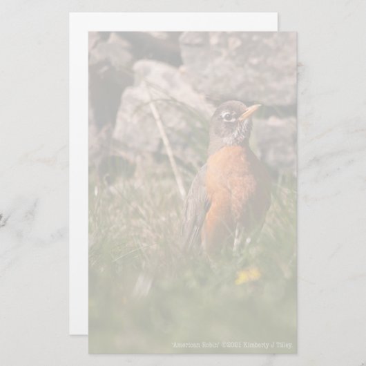 American Robin Briefpapier (Vorne/Hinten)