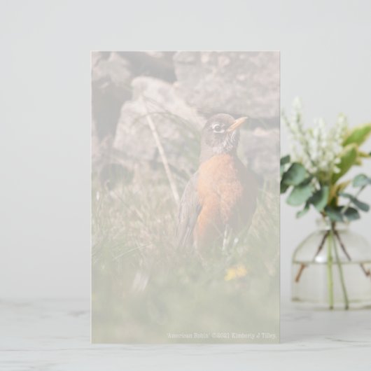 American Robin Briefpapier (Stehend Vorderseite)