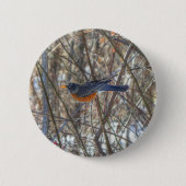 American Robin Button (Vorderseite)