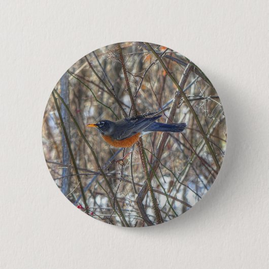 American Robin Button (Vorderseite)