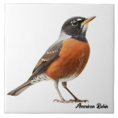 American Robin Fliese (Vorderseite)