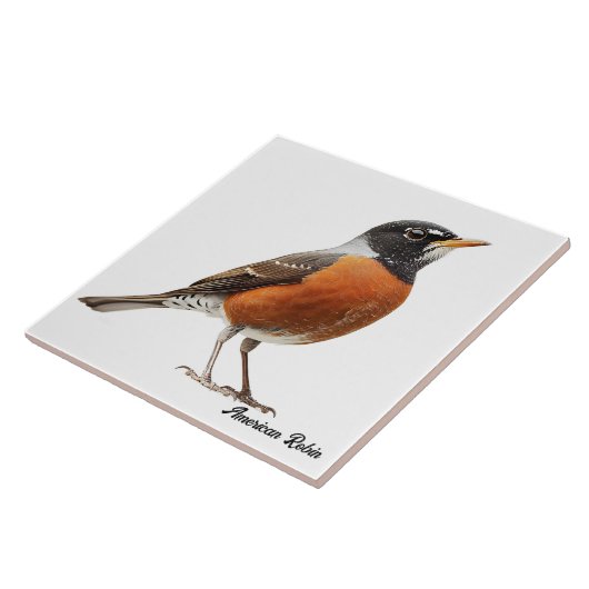 American Robin Fliese (Seite)