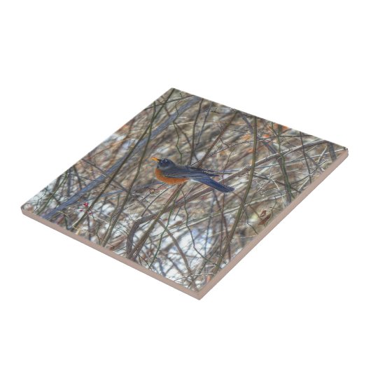 American Robin Fliese (Seite)