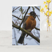 American Robin Happy Father's Day Card Karte (Gelbe Blume)