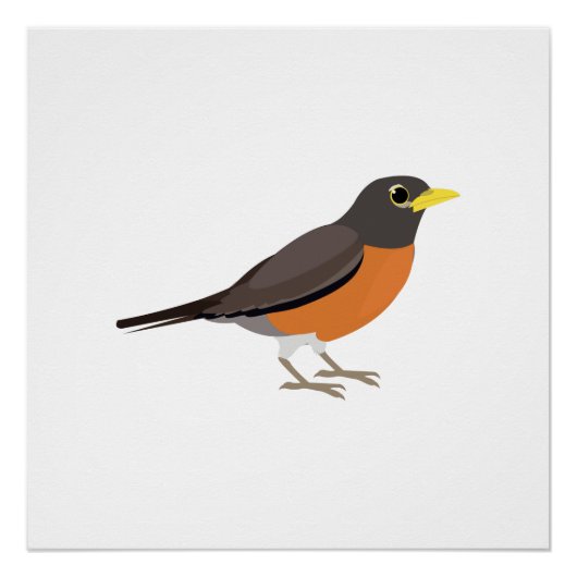 American Robin Illustration Poster (Vorderseite)