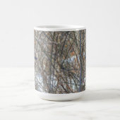 American Robin Kaffeetasse (Mittel)