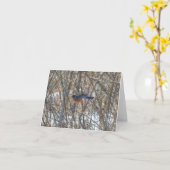 American Robin Karte (Gelbe Blume)