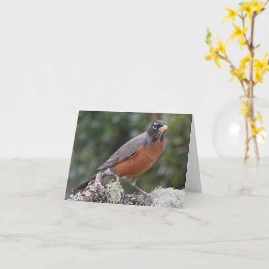 American robin. karte (Gelbe Blume)