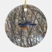 American Robin Keramik Ornament (Hinten)