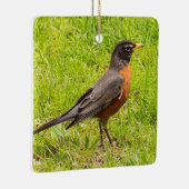 American Robin Keramikornament (Rechts)